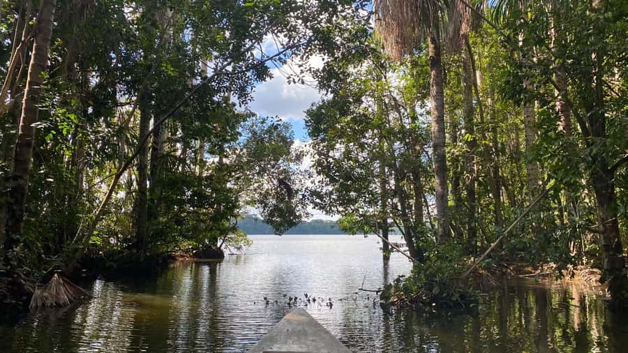 Puerto Maldonado: Sandoval Lake 4-Day, 3-Night Guided Tour - Key points to know before booking