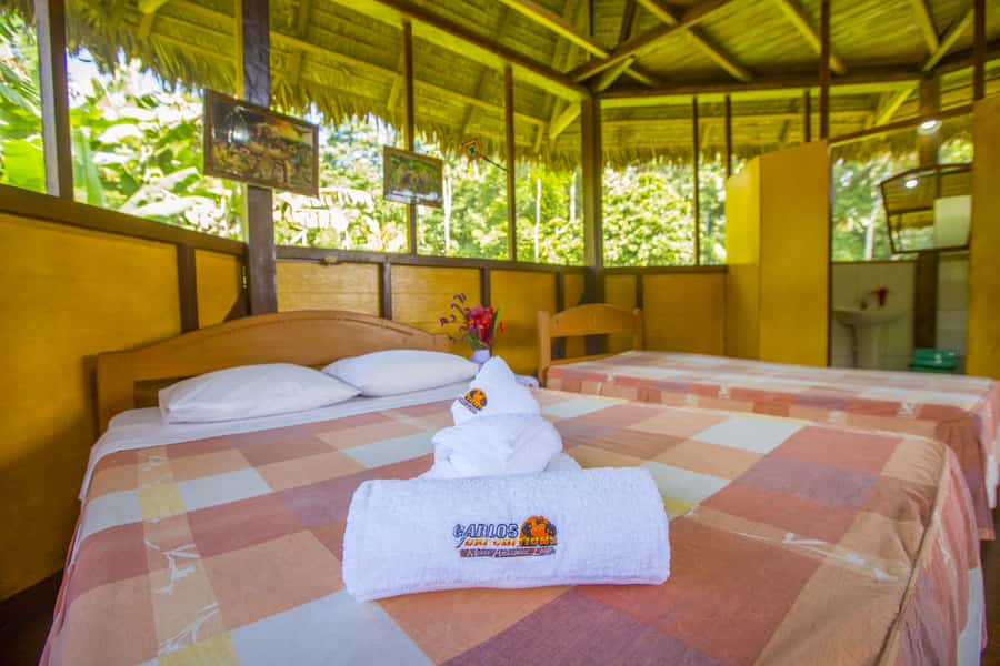 Puerto Maldonado: Sandoval Lake 4-Day, 3-Night Guided Tour - What this four-day jungle trip is really like