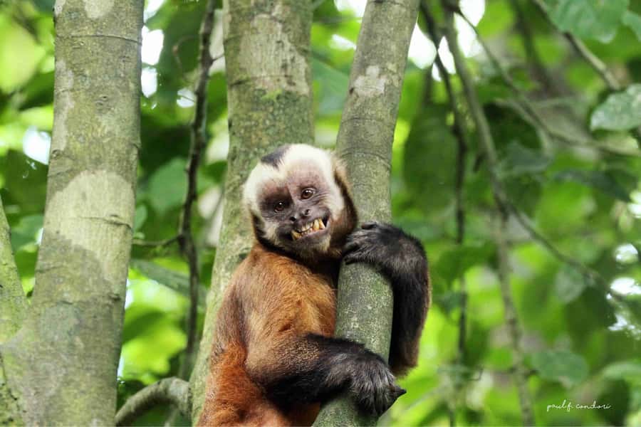 Puerto Maldonado: Sandoval Lake 4-Day, 3-Night Guided Tour - Who will enjoy this tour most