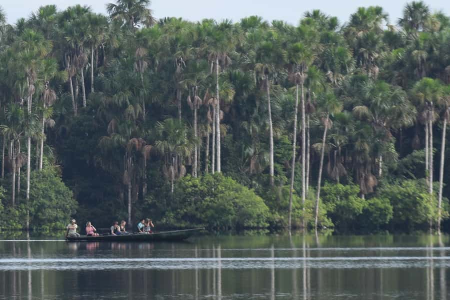 Puerto Maldonado: Sandoval Lake Full-Day Trip with Canoeing - The 55-minute walk into Tambopata
