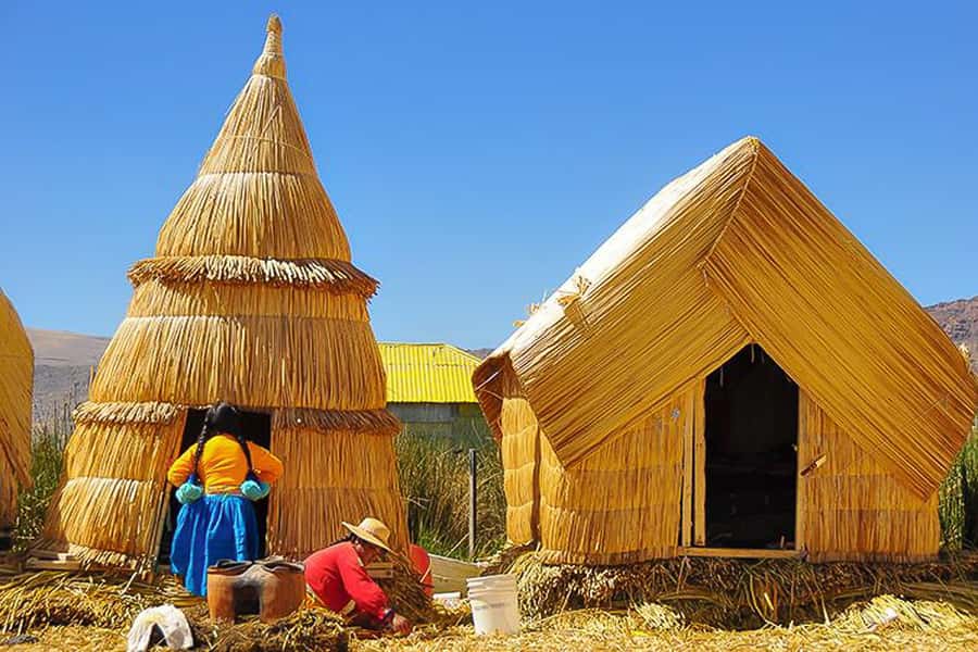 Puno: Lake Titicaca Day Tour - Leaving Puno between 6:00AM and 7:00AM