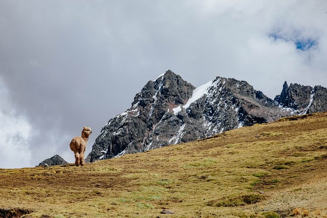 Rainbow Mountain and Red Valley Hike – 2 Days / 1 Night - Lunch and Warmisaya Pass lead toward the colored mountain