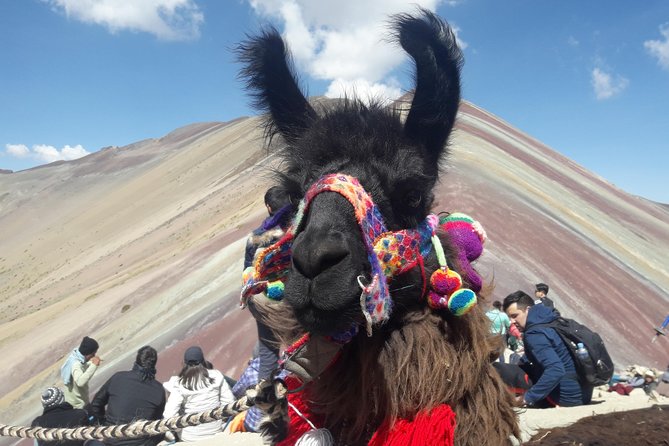 Rainbow Mountain Tour Vinicunca (Full Day) - Hiking the 7-kilometer route to the viewpoint