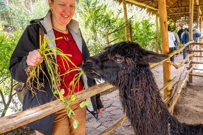 Sacred Valley and Machu Picchu Tour in 2 days with Peru Vip - Urubamba provides a welcome midday break