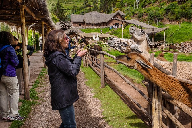 Sacred Valley and Machu Picchu Tour in 2 days with Peru Vip - The early Machu Picchu start rewards organized visitors