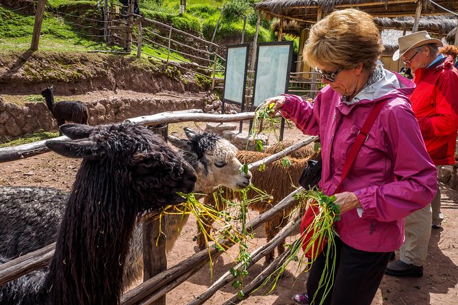 Sacred Valley and Machu Picchu Tour in 2 days with Peru Vip - Lunch and the long return to Cusco
