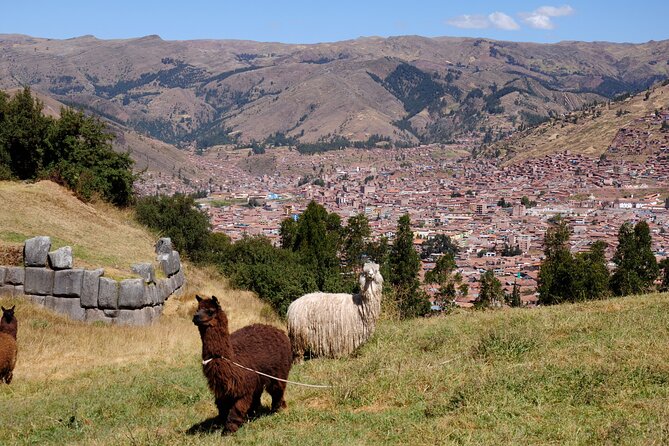 Sacsayhuaman Temple, Tambomachay and Puca Pucara Half-Day Tour - Tambomachay: sacred springs and flowing water