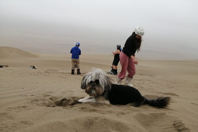 Sandboarding Experiance in Lima - Standing runs are exciting, but sledding is a smart backup