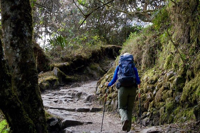 Short Inca Trail 2 Day Hike to Machu Picchu with Permits & Train - A shorter Inca Trail with a proper arrival at Machu Picchu