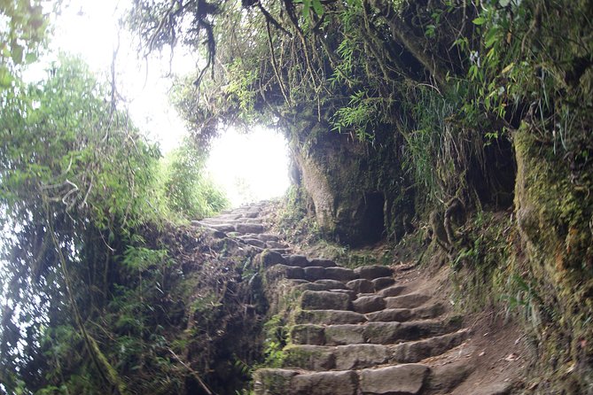 Short Inca trail to MachuPicchu || 2days - 1nigth || - Transport is the quiet strength of this package