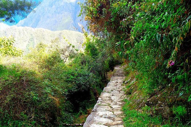 Small Group: 4-Day Inca Trail Trek to Machu Picchu - Who should book this trek?