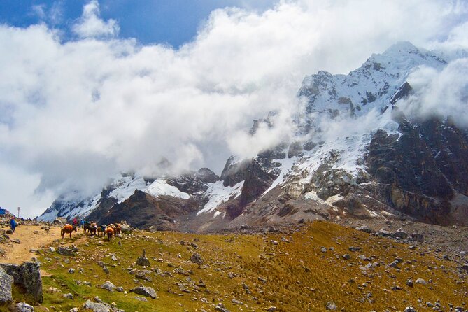 Small Group 5 Days Salkantay and Machu Picchu by Llactapata Tour - Day 5: First light at Machu Picchu