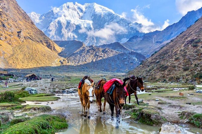 Small Group 5 Days Salkantay and Machu Picchu by Llactapata Tour - Who should choose this trek?
