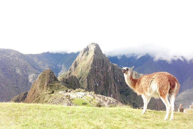 Small-Group Day Tour to Machu Picchu - The Ollantaytambo to Aguas Calientes train ride