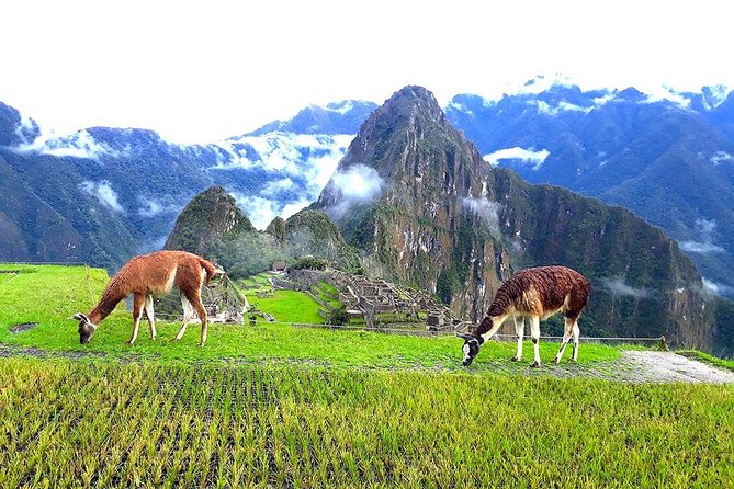 Small-Group Day Tour to Machu Picchu - Two hours among temples, terraces, and royal quarters