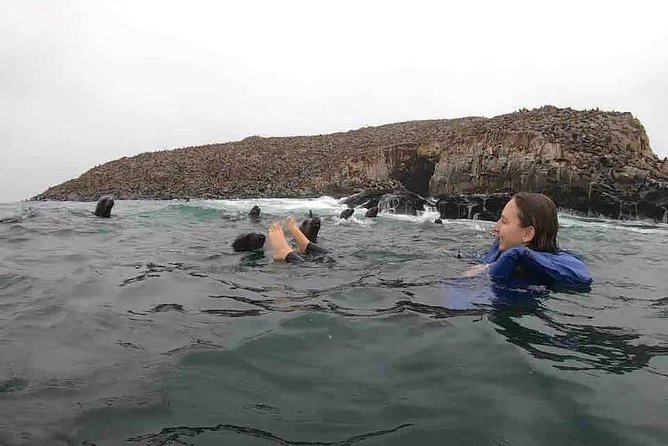 Swimming with Sea Lions in Lima - Cruising Past San Lorenzo and Fronton Islands