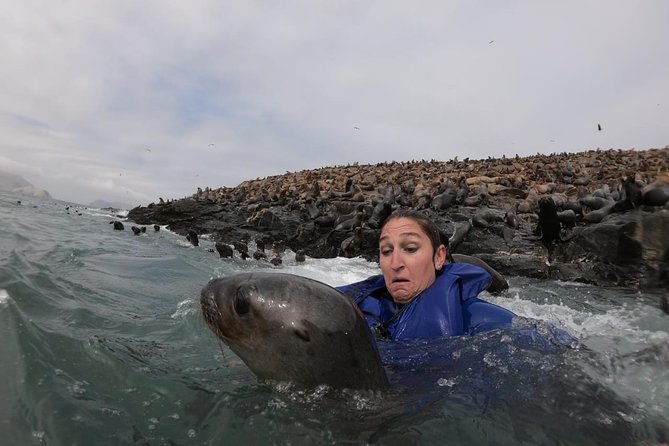 Swimming with Sea Lions in Lima - Palomino Island and the Sea Lion Swim