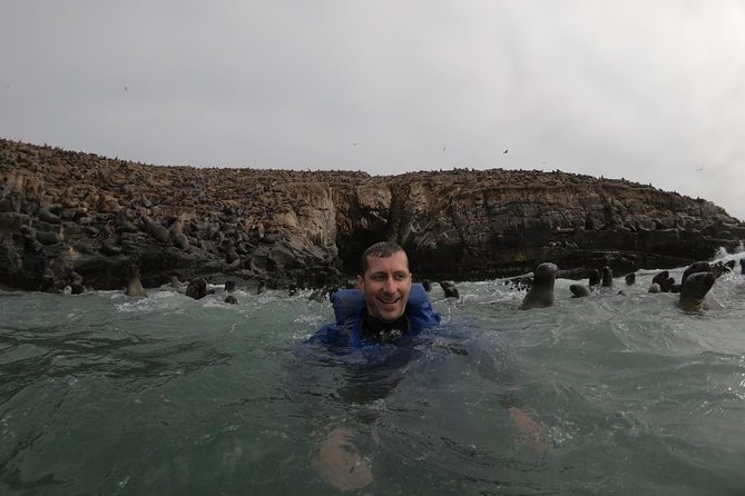 Swimming with Sea Lions in Lima - The Return Ride Is Part of the Test