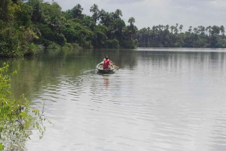Tambopata: Lake Sandoval Canoeing with Lunch - Booking details worth knowing