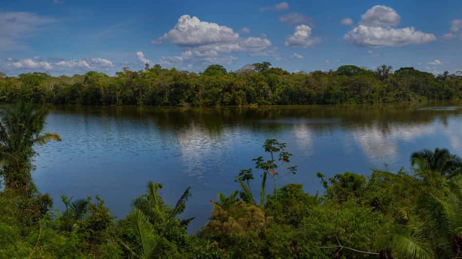 Tambopata: Lake Sandoval Canoeing with Lunch - Is $79 a fair price?