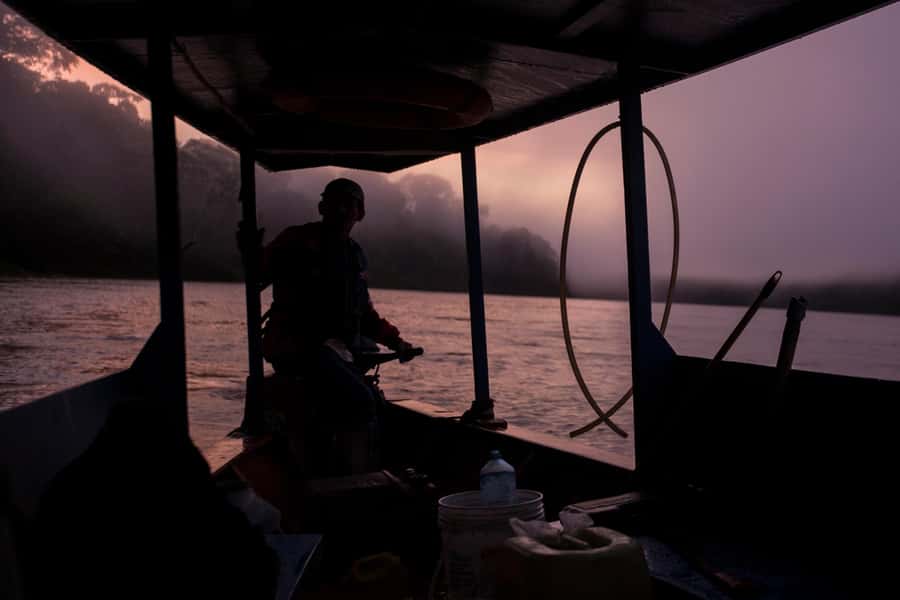 Tambopata Macaw Clay Lick 4 days/3 nights - Day 2: Macaws at dawn, monkeys by afternoon, caimans after dark