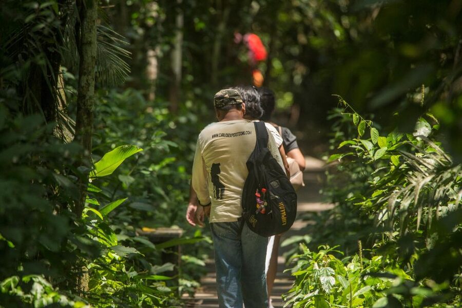 Tambopata Macaw Clay Lick 5 days/4 nights - Day 3: Changing lodges and entering the reserve