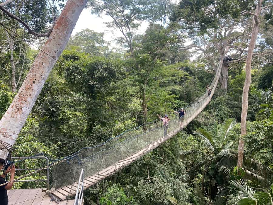 Tambopata: Multi-Day Amazon Rainforest Tour with Local Guide - Should you book this Tambopata tour?