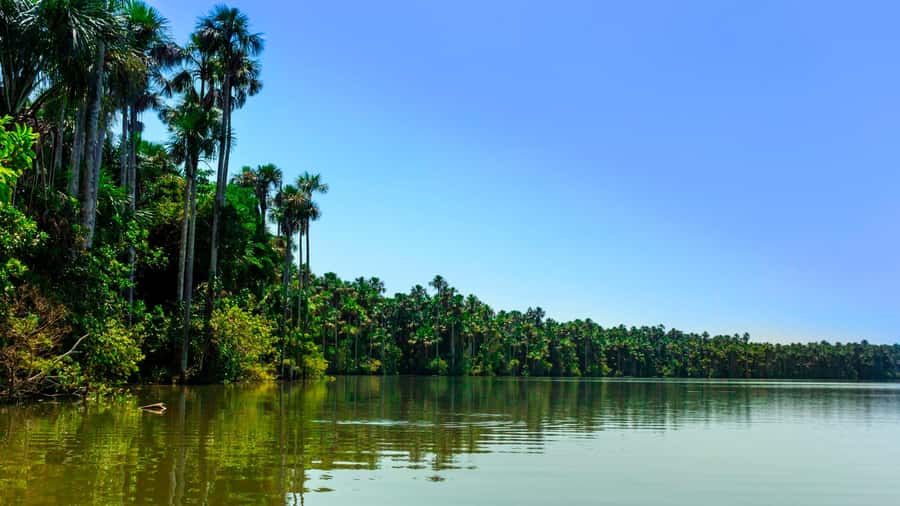 Tambopata: Multi-Day Amazon Rainforest Tour with Local Guide - Day three: cultural visit and rustic river fishing