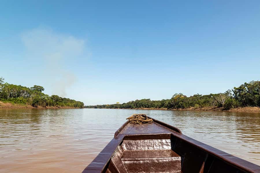 Tambopata: Multi-Day Amazon Rainforest Tour with Local Guide - Day four: a dawn clay lick before the return