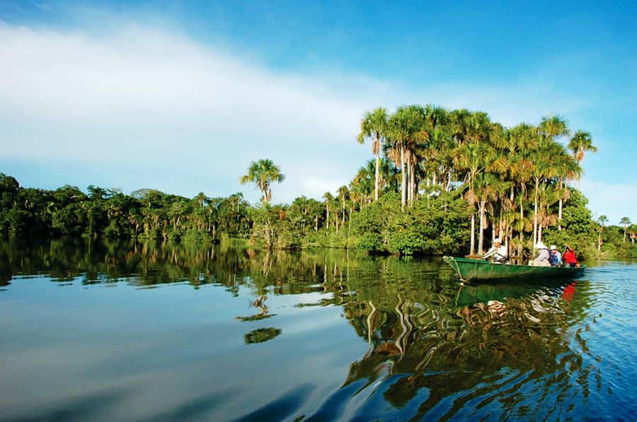 Tambopata National Reserve Tour 3 Days - Day 3: Parrots, local life, and Madre de Dios fishing