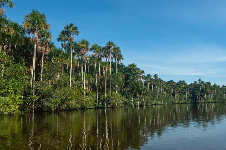 Tambopata National Reserve Tour 3 Days - Is $260 good value?