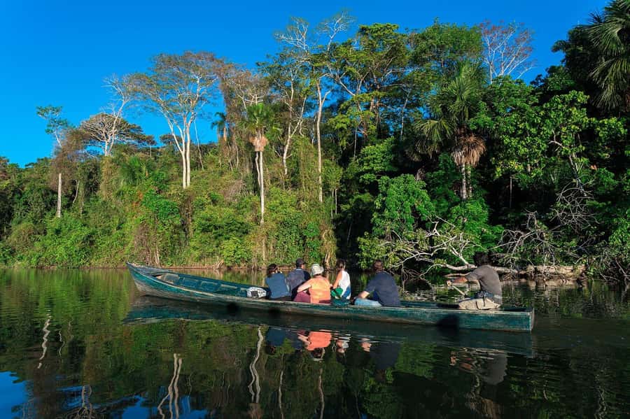 Tambopata National Reserve Tour 3 Days - Day 1: From Puerto Maldonado to the forest canopy
