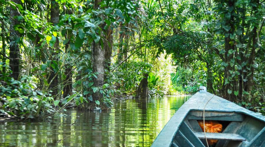 Tambopata Peruvian Amazon Jungle for Three Days/Two Nights - The 3-kilometer hike to Lake Sandoval