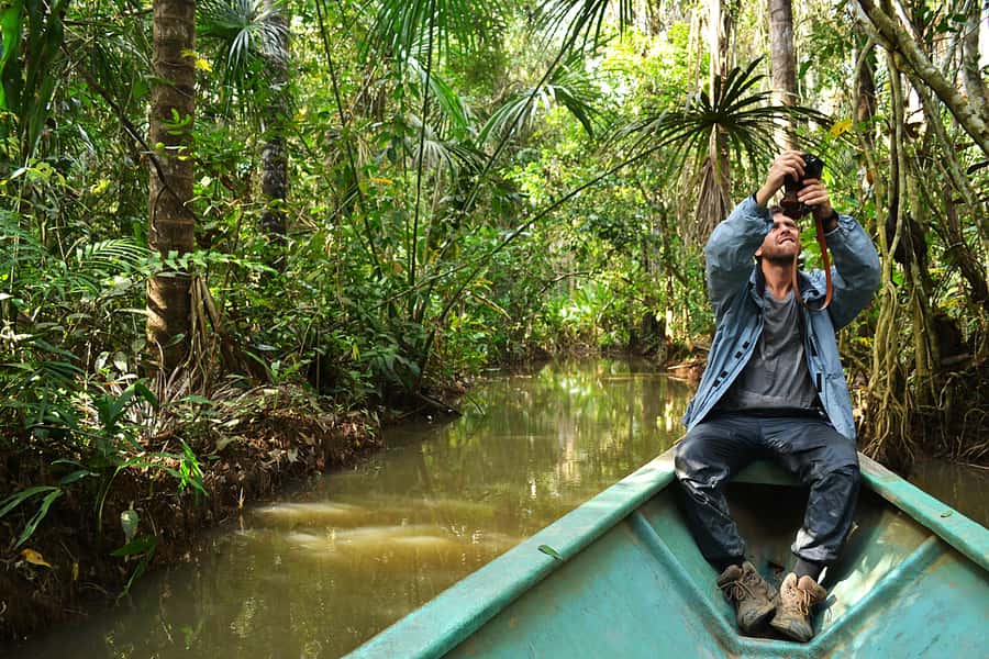 Tambopata Peruvian Amazon Jungle for Three Days/Two Nights - Lunch, downtime, and the evening forest walk