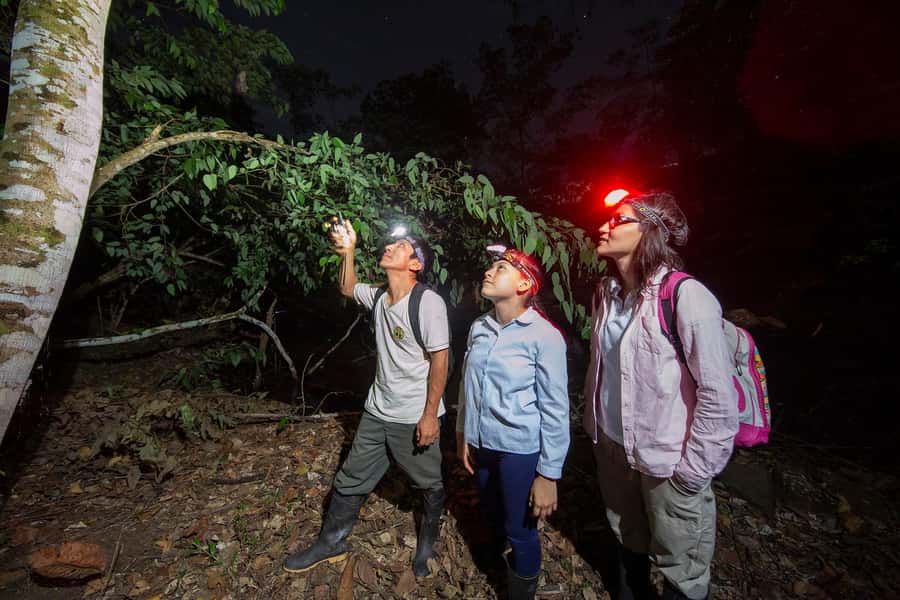 Tambopata Rainforest Night Walk & River Exploration - Key points to know before you go