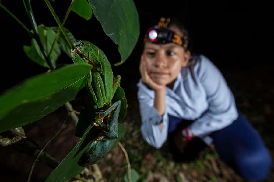 Tambopata Rainforest Night Walk & River Exploration - Why Tambopata is worth seeing after dark