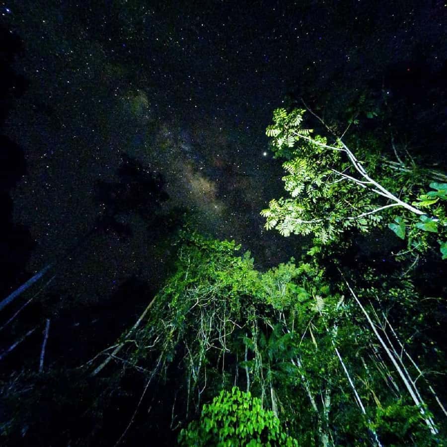 Tambopata Rainforest Night Walk & River Exploration - The return boat ride under a dark sky