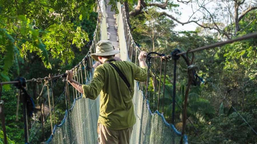 Tambopata: Zipline Adventure & Kayak to Monkey Island - Two zipline rides above the trees
