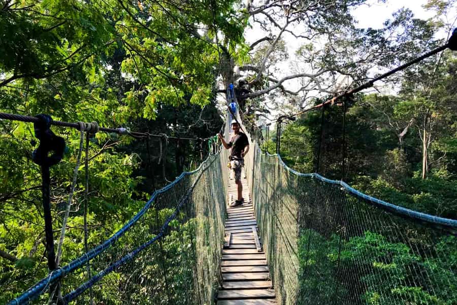 Tambopata: Zipline Adventure & Kayak to Monkey Island - Lunch at the lodge and the long midday pause