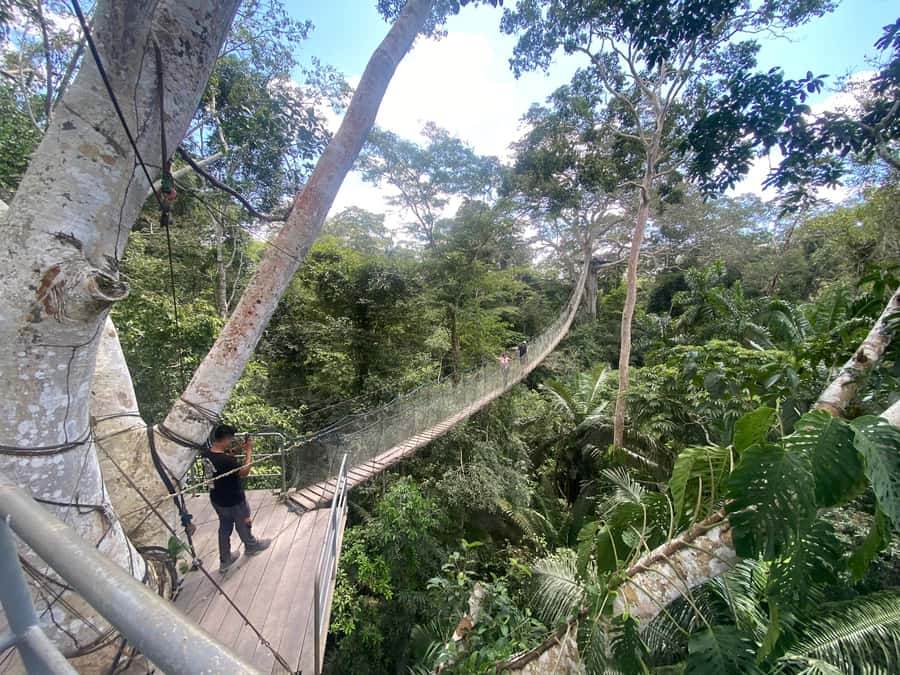 Tambopata: Zipline Adventure & Kayak to Monkey Island - Is $59 a fair price?