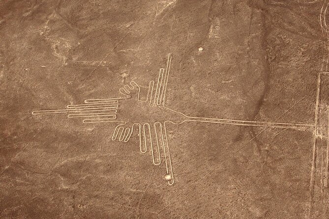 The Nazca Lines & Huacachina Oasis from Lima - Private Trip - Is the $485 price fair?