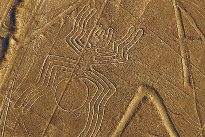 The Nazca Lines & Huacachina Oasis from Lima - Private Trip - The guides and drivers matter