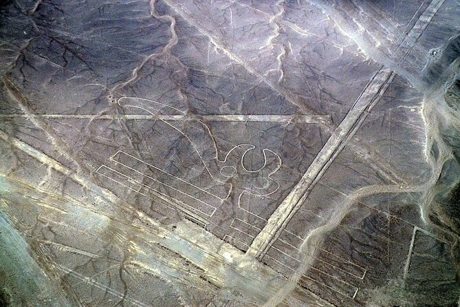 The Nazca Lines & Huacachina Oasis from Lima - Private Trip - Who should book this trip?