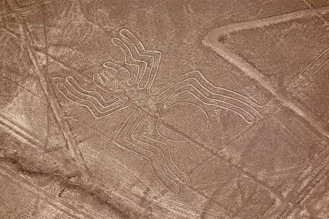 The Nazca Lines & Huacachina Oasis from Lima - Private Trip - Practical ways to make the day better