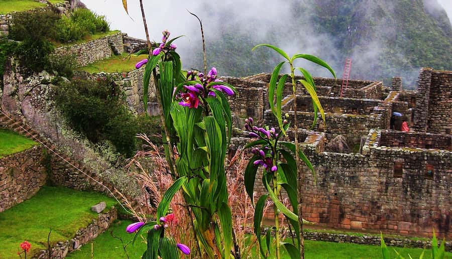 Tour Machu Picchu + Mountain of Huayna Picchu 2 days - Aguas Calientes: one free afternoon and a hot-spring option