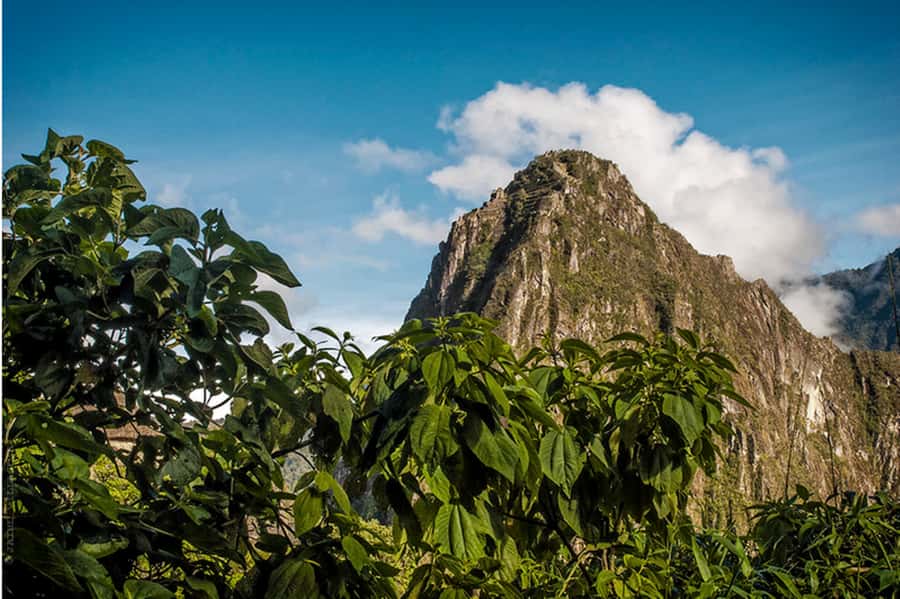 Tour Machu Picchu + Mountain of Huayna Picchu 2 days - What the $540 price really covers