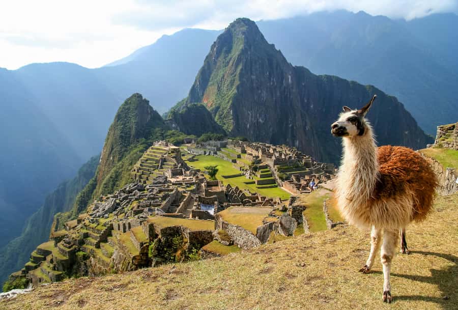TOUR TO MACHU PICCHU FULL DAY BY TRAIN – The Best Adventure - Leaving Cusco before sunrise