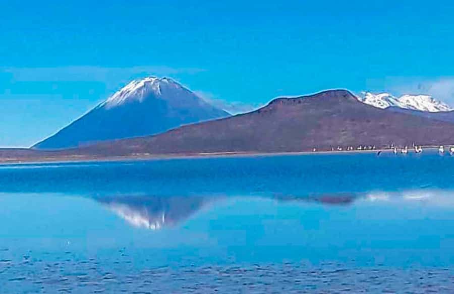 Tour to the Salinas Lagoon and National Reserve in Arequipa - Key points to know before booking