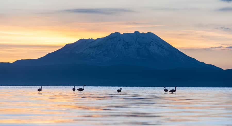 Tour to the Salinas Lagoon and National Reserve in Arequipa - What the $27 price really buys