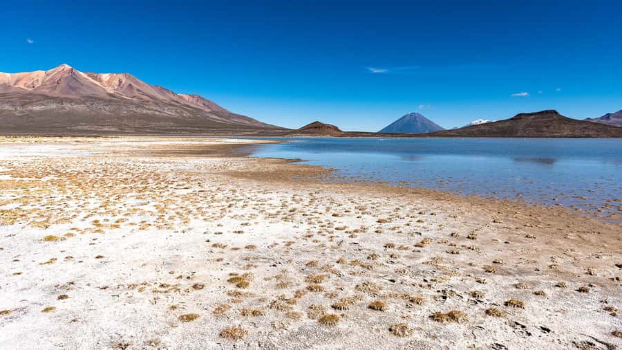 Tour to the Salinas Lagoon and National Reserve in Arequipa - Altitude, comfort, and what to pack